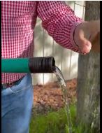 The best way to hose water your trees